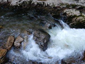 image476